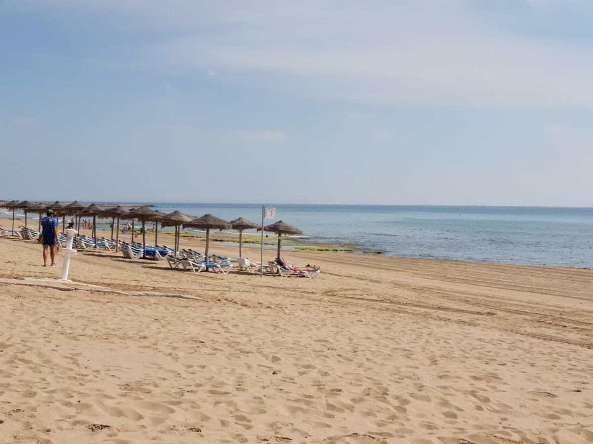 托雷维耶哈Azul Beach - La Mata公寓 外观 照片